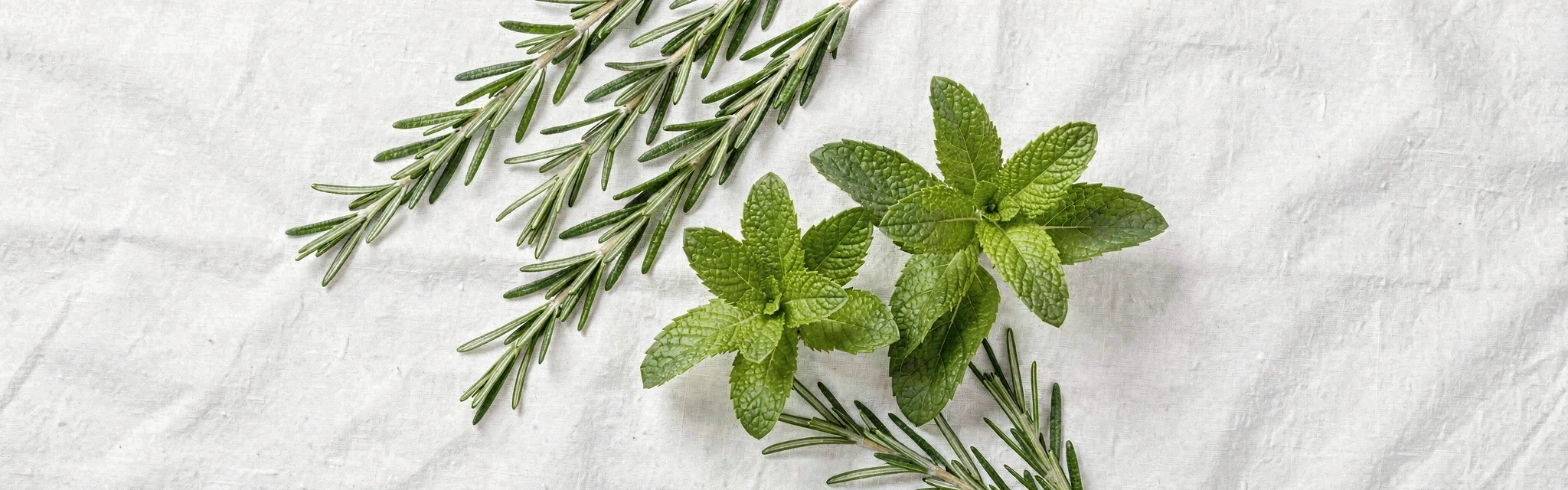 Tisztaság és egészség